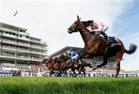 epsom derby odds checker|derby betting oddschecker.